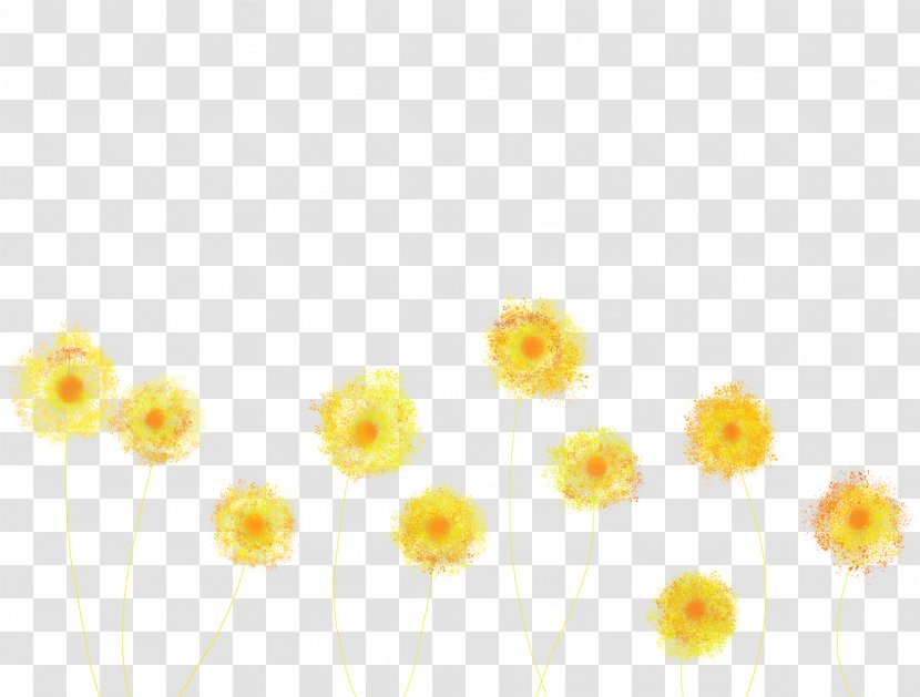 Yellow Flower Dandelion Plant Petal - Sky Transparent PNG