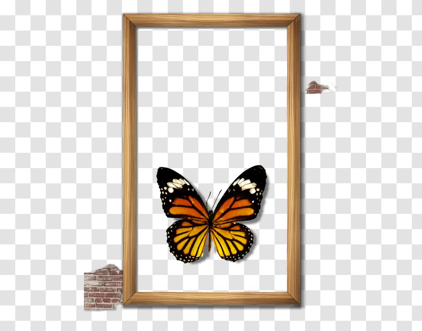 Butterfly Picture Frame Computer File - Monarch Transparent PNG