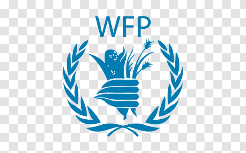 United Nations Office At Nairobi World Food Programme Organization Logo - Ngos Transparent PNG