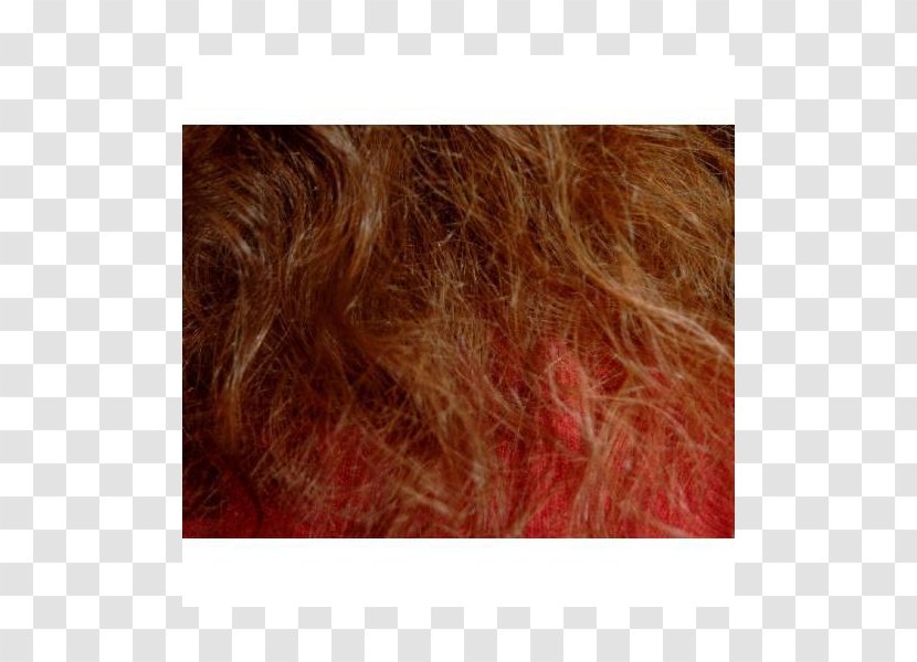 Hair Coloring Long Dye 02PD - Flower - Circolo Del Partito Democratico Di MilanoLong Box Transparent PNG