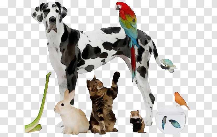 Animal Figure Dog Dalmatian Great Dane Toy Transparent PNG