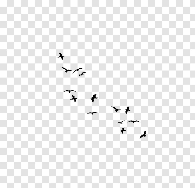 Flock Bird Migration Flight - Sky - Little Wild Flower Transparent PNG
