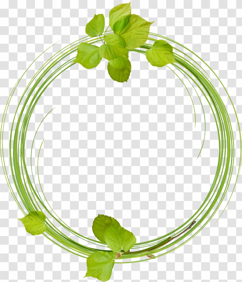 Leaves Ring - Picture Frame - Drawing Transparent PNG