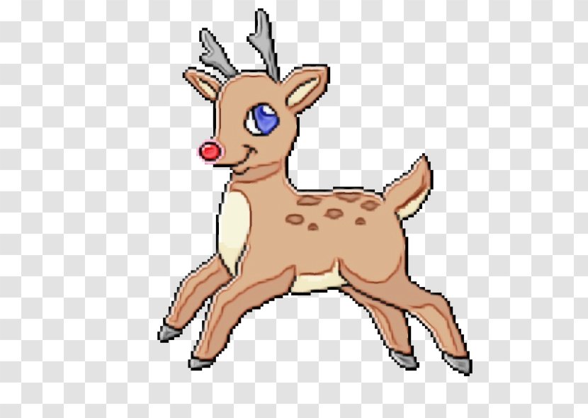 Reindeer - Deer - Tail Wildlife Transparent PNG