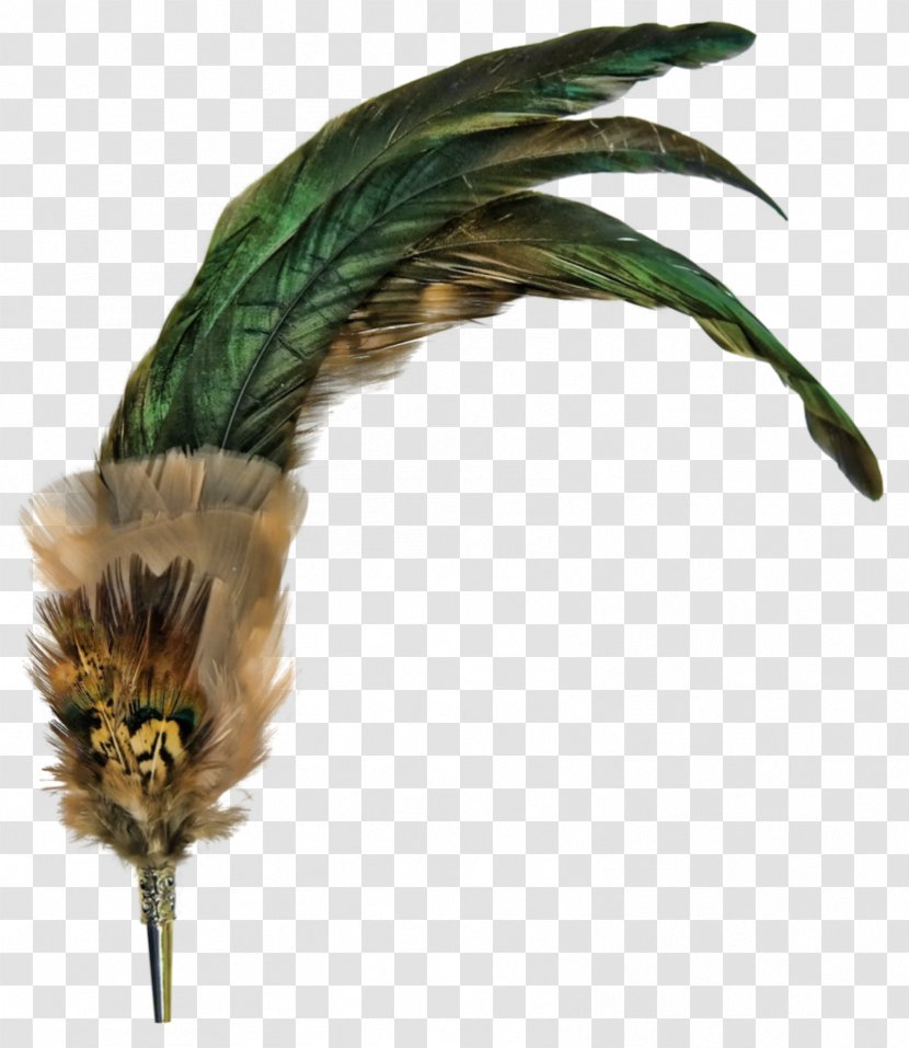 Feather Bird - Deviantart Transparent PNG