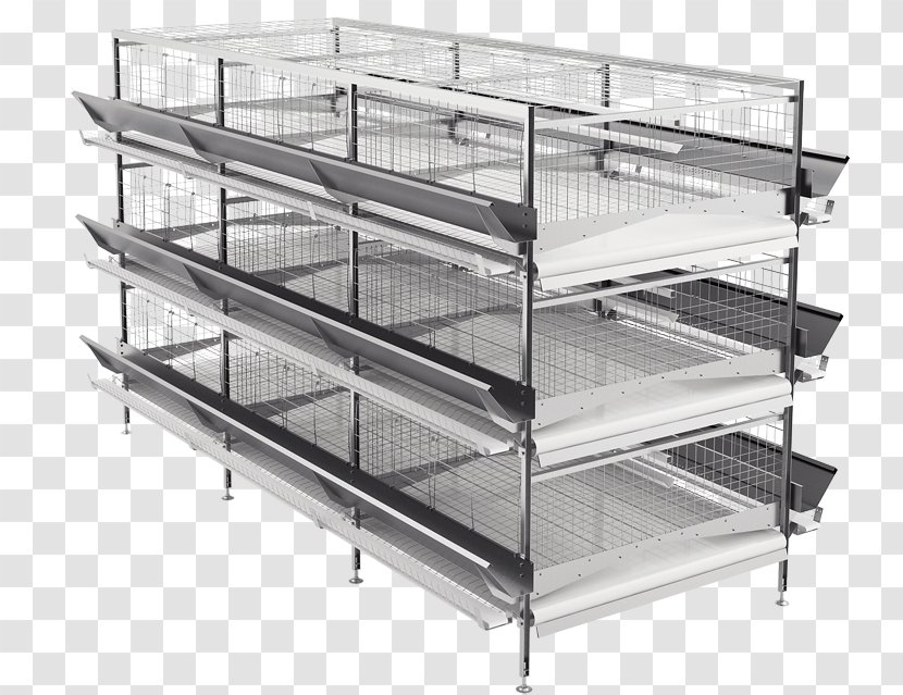Industry Poultry Farming Tekhna Photography - Battery Cage - Chicken Cages Transparent PNG
