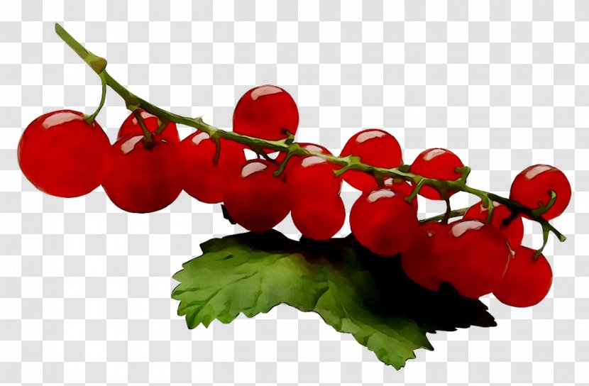 Varenye Redcurrant Fruit Blackcurrant Jam - Flower - Cherry Transparent PNG