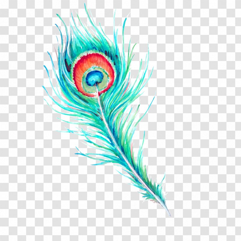 Feather Peafowl Watercolor Painting Image - Art - Drawing Peacock Transparent PNG