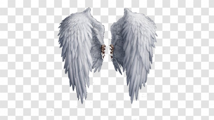 Clip Art - Black And White - Angel Wings Transparent PNG