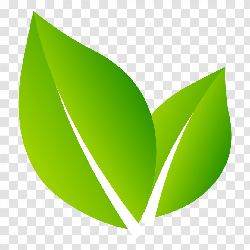 Logo Nature Leaf - Green - Design Transparent PNG