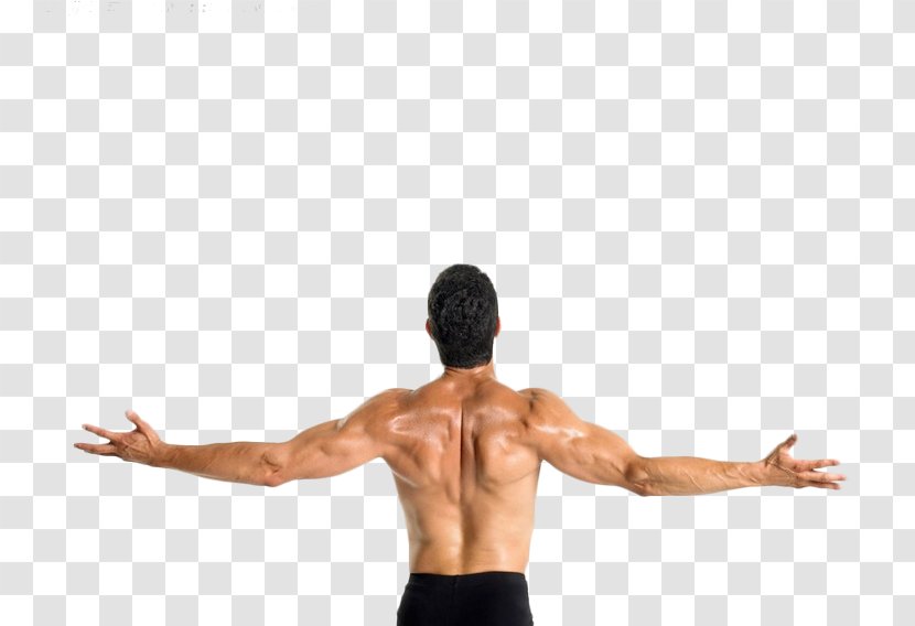 Latissimus Dorsi Muscle Arm Pulldown Exercise Stock Photography - Heart - Open Material Picture Transparent PNG