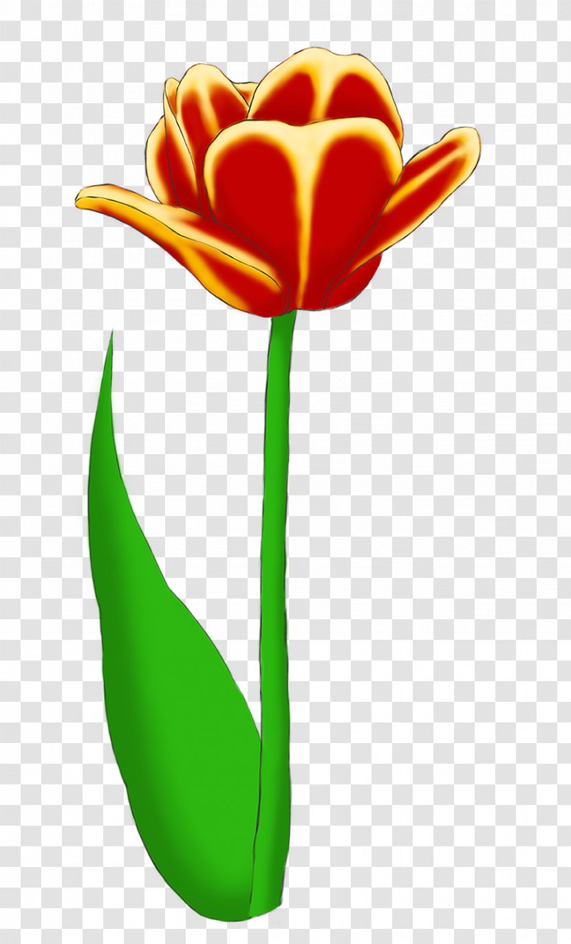 Lady Tulip Clip Art Cut Flowers - Flowering Plant - Bouquet Cartoon Tulips Transparent PNG