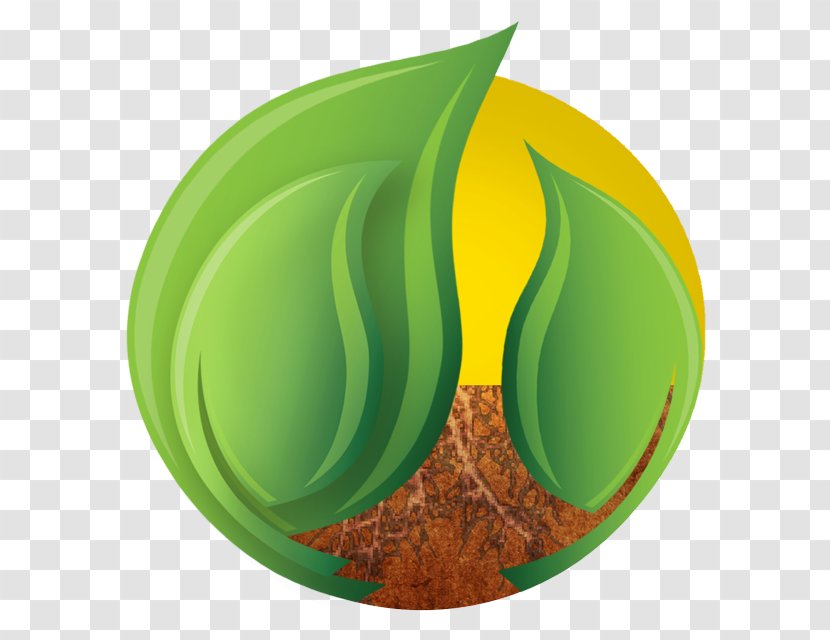 Green Leaf Plate Tree Plant - Symbol Logo Transparent PNG
