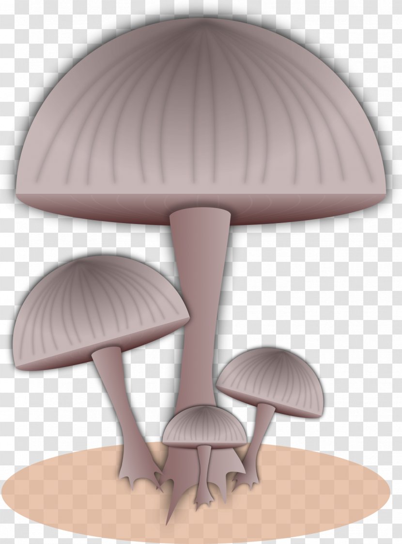 Toad Mushroom Fungus Clip Art - Table - Fungi Transparent PNG