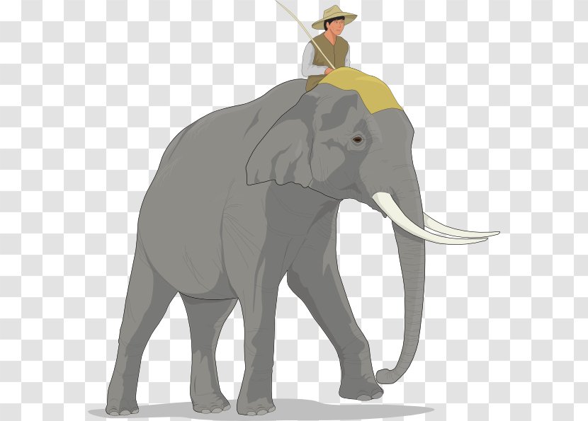 Switch: How To Change Things When Is Hard Riding On An Elephant Behavior Emotion - Terrestrial Animal - Rabbit Transparent PNG