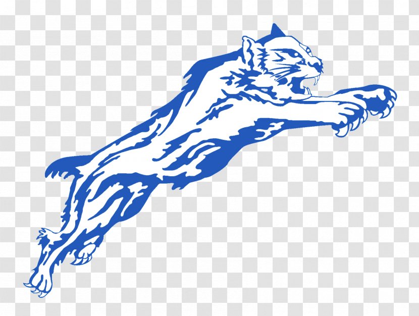 Paris High School Arizona Wildcats Football University Of Kentucky - Fictional Character - Cat Transparent PNG