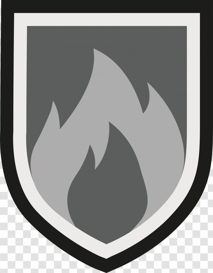 Inflammation Health Icon - Shield - Fire Transparent PNG