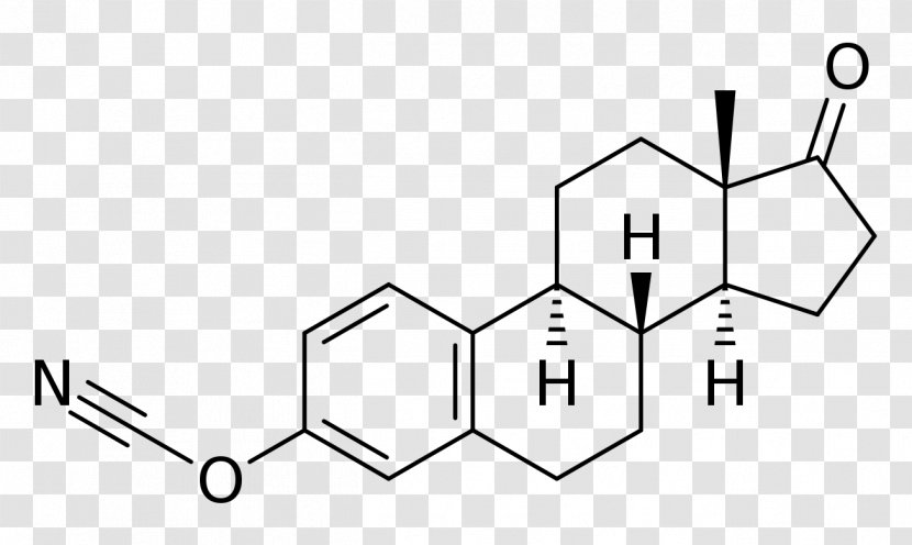 The Great Testosterone Myth Estradiol Estrogen Metandienone Estrone - Symmetry - Cyanate Transparent PNG