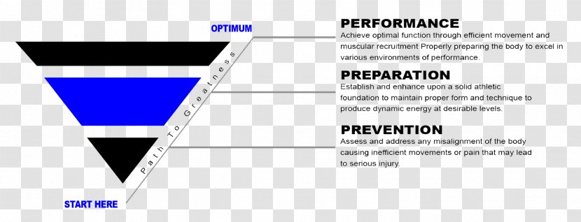 Triad Performance Training Design Logo Document - Watercolor - Model Movement Transparent PNG
