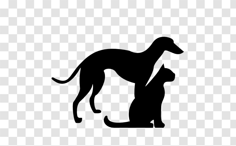 Italian Greyhound Whippet Sloughi Spanish Cat - Dogcat Relationship Transparent PNG