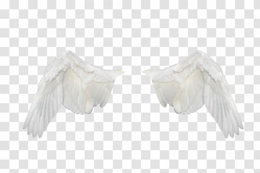 Feather Neck Transparent PNG