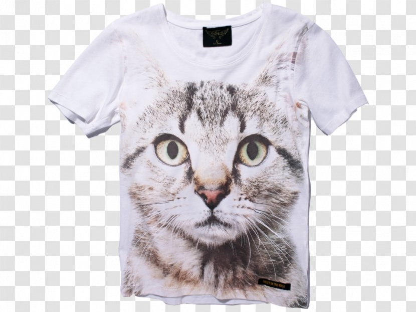Whiskers Kitten Tabby Cat T-shirt - Fur - Nose Transparent PNG