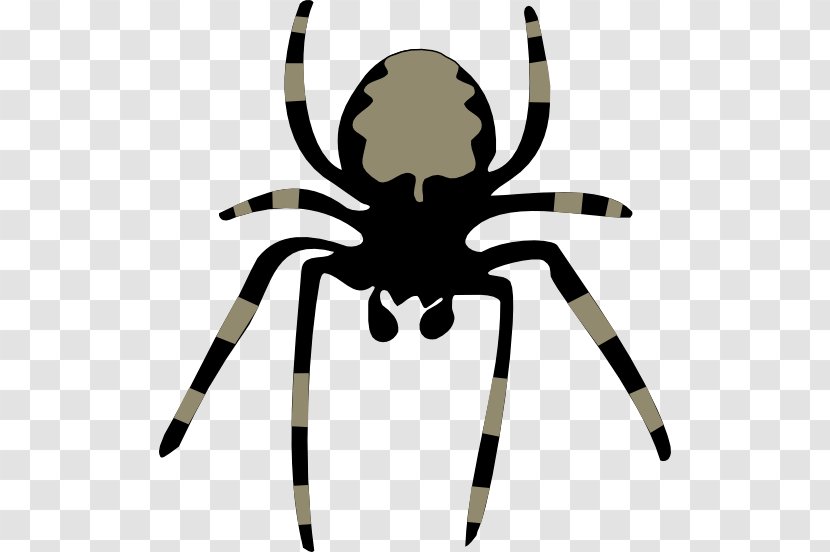 Spider Web Huntsman Clip Art - Organism Transparent PNG