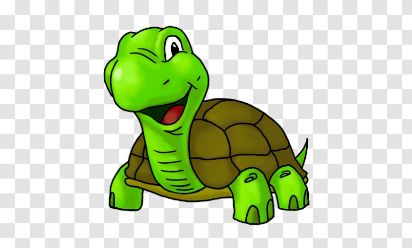 Turtle Cartoon Drawing Clip Art - Model Sheet Transparent PNG