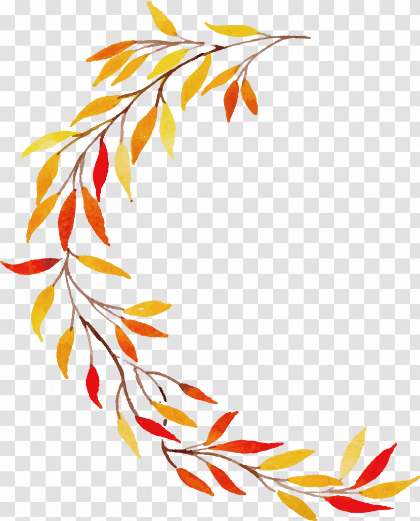 Autumn Leaf Colorful Leaf Transparent PNG