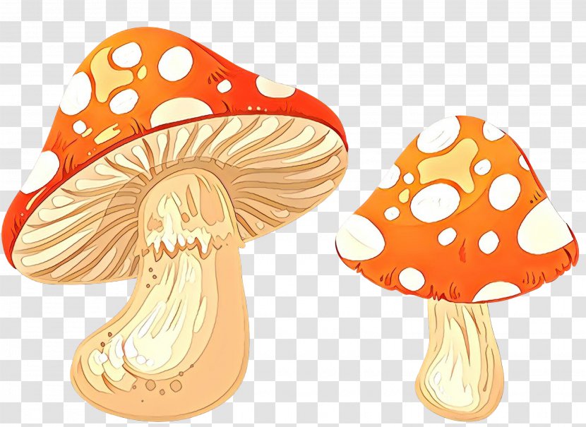 Clip Art Mushroom Transparency Vector Graphics - Common - Fungus Transparent PNG