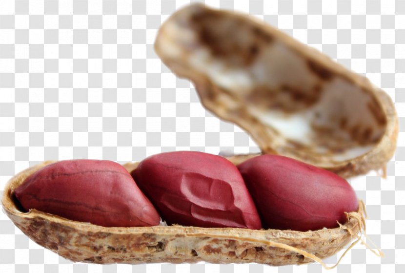 Peanut Allergy Food Eating Health - Diet - Amendoim Transparent PNG