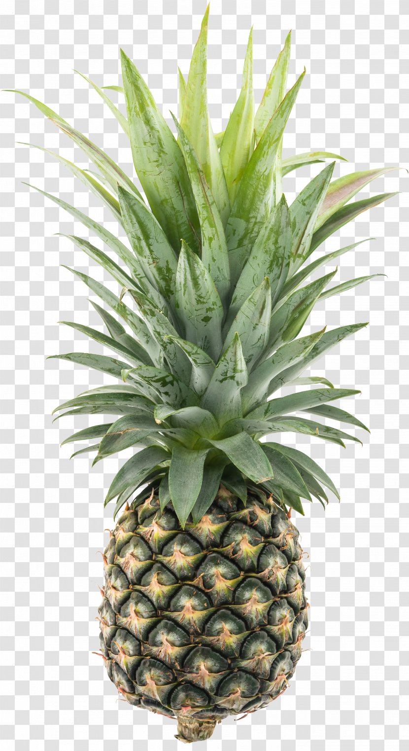Pineapple Fruit Food - Auglis - HD Transparent PNG