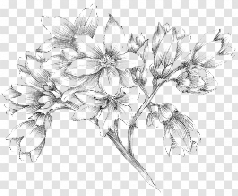 Wedding Photography Forever Pixels Sketch - Branch - Photographer Transparent PNG