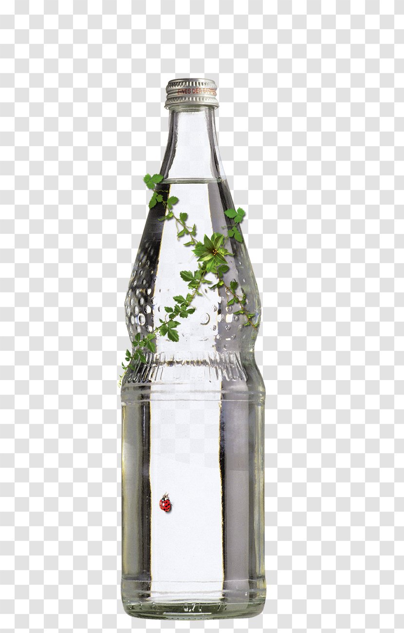 Advertising Poster Graphic Design Flyer - Glass Bottle - Green Leaves And Ladybug On A Transparent Transparent PNG