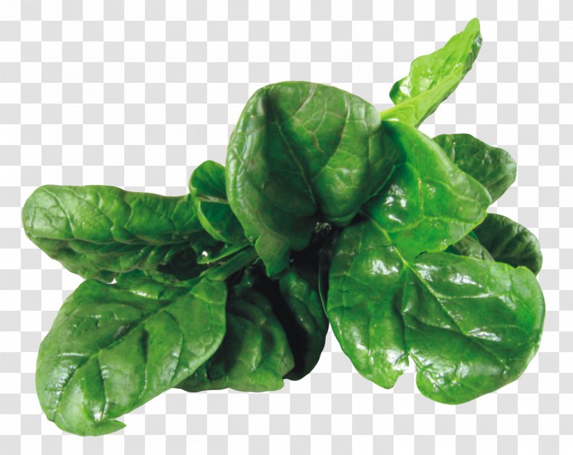 Vegetarian Cuisine Spinach Salad Leaf Vegetable - Blasting Effect Transparent PNG