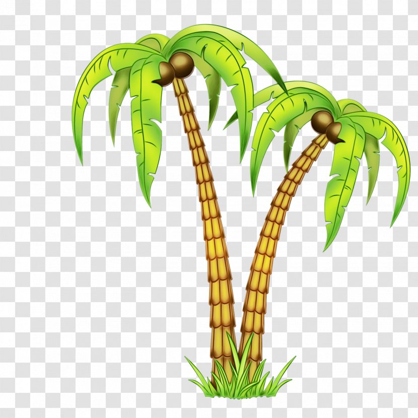 Coconut Palm Trees Flowerpot Plant Stem Peavey Electronics - Houseplant - Tree Transparent PNG