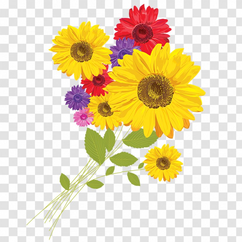 Common Sunflower Red CorelDRAW - Annual Plant - Color Transparent PNG