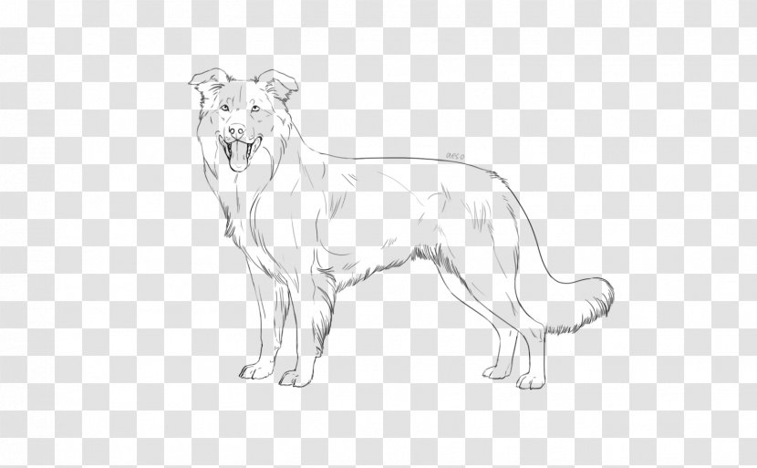 Lion Dog Breed Cat Whiskers - Tail Transparent PNG