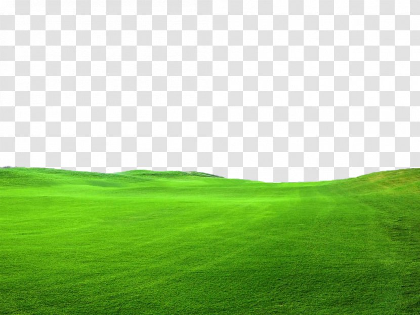 Lawn Green Grassland Sky Wallpaper - Landscape - Grass Pic Transparent PNG