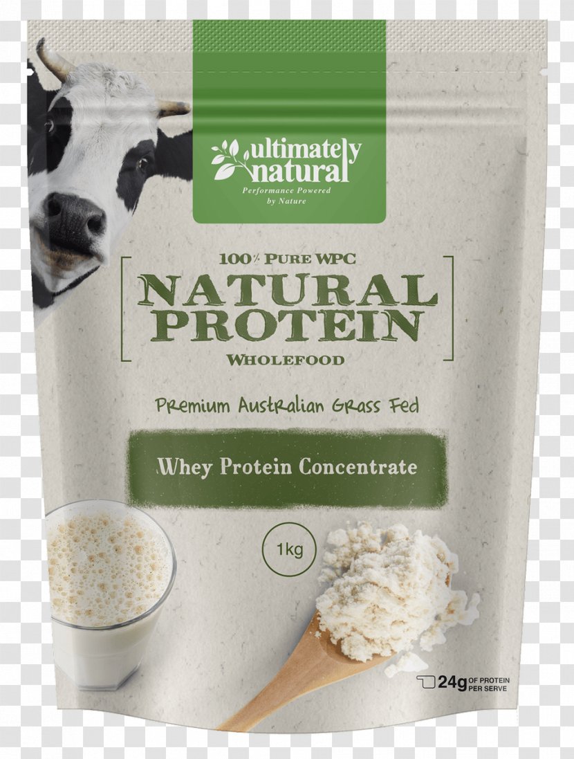 Whey Protein Concentrate Bodybuilding Supplement - Natual Transparent PNG