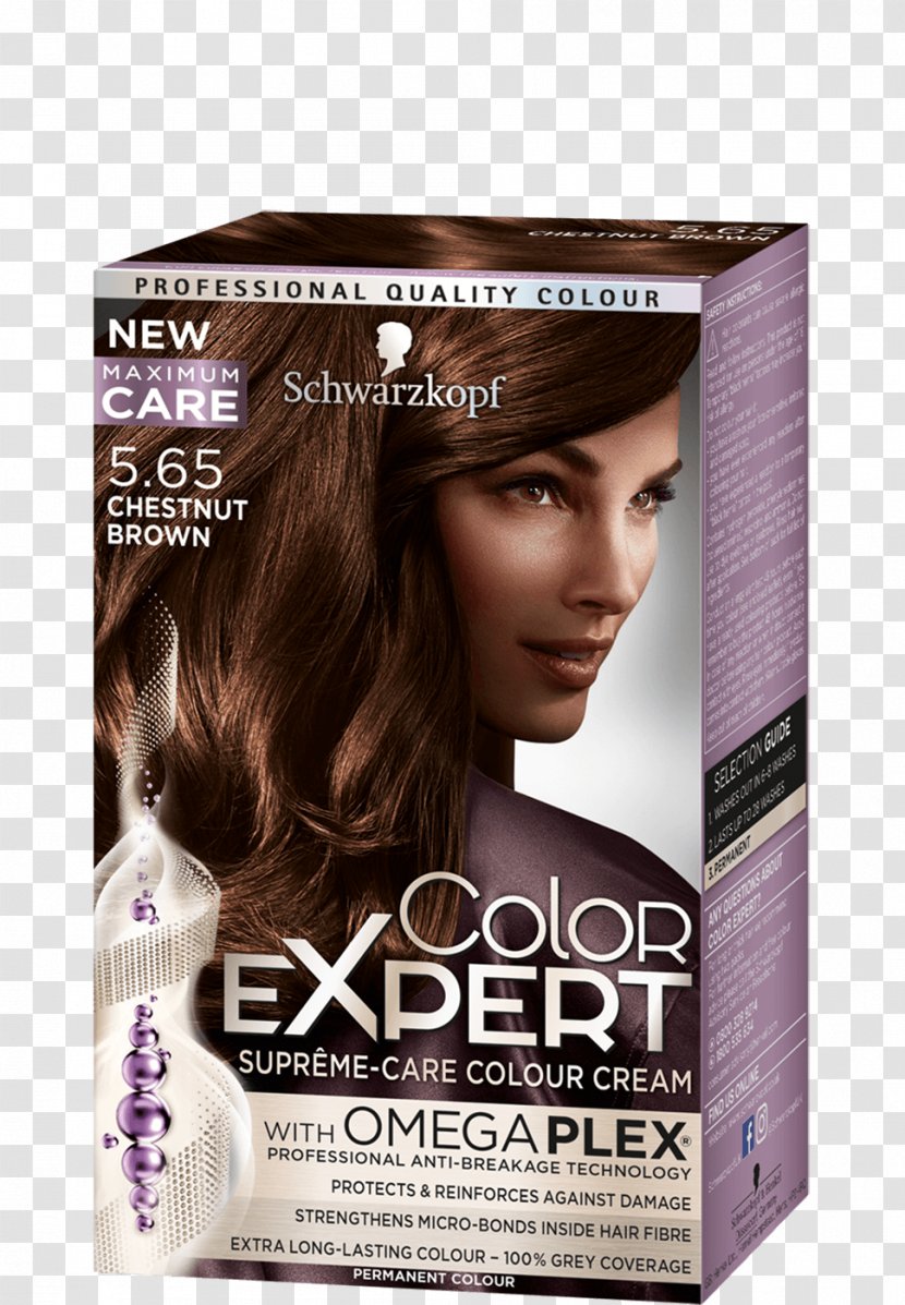 Hair Coloring Human Color Schwarzkopf Garnier - Loreal - Chestnut Transparent PNG
