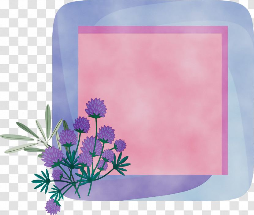 Picture Frame Transparent PNG