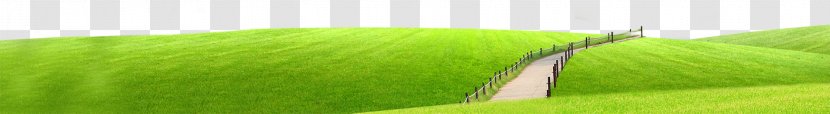 Artificial Turf Meadow Lawn Energy - Grass Transparent PNG