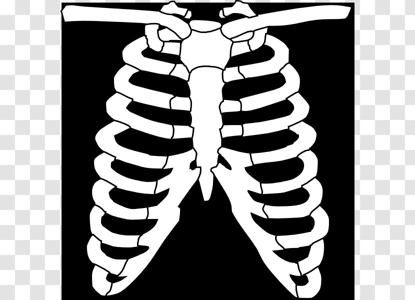 X-ray Generator White Clip Art - Frame - Ray Cliparts Transparent PNG