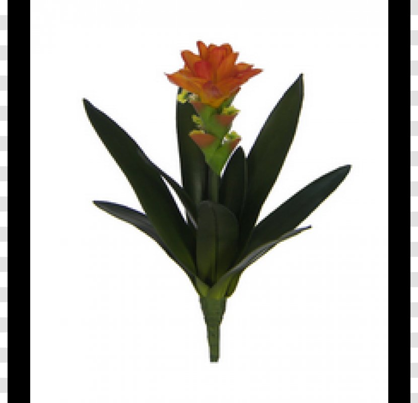 Flowerpot Artificial Flower Cut Flowers Plant Stem - Canna Transparent PNG