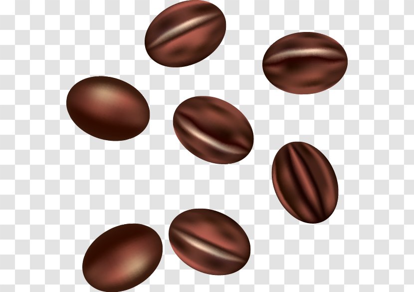 Coffee Bean Cafe Arabica - Praline - Vector Hand-painted Beans Transparent PNG