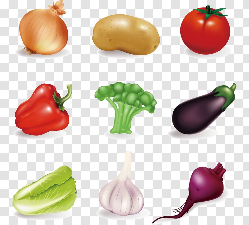 Vegetable Fruit Food Clip Art - Vector Elements Vegetables Transparent PNG