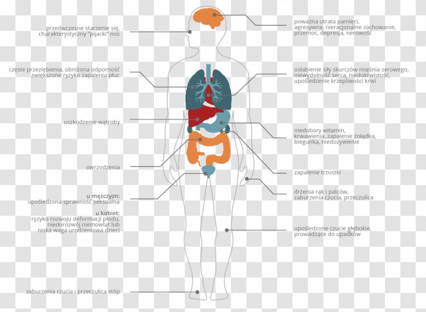 Hip Homo Sapiens Human Behavior - Watercolor - Cartoon Transparent PNG