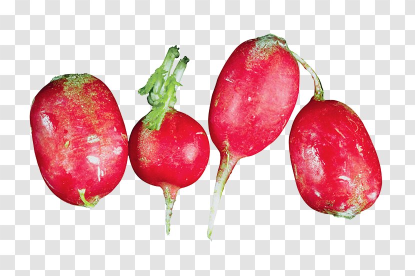 Garden Radish Strawberry Vegetable Carrot - Root Vegetables - Plant Transparent PNG