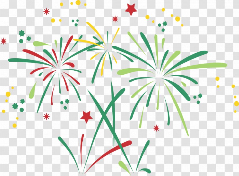 Fireworks Download - Organism - Vector Color Transparent PNG